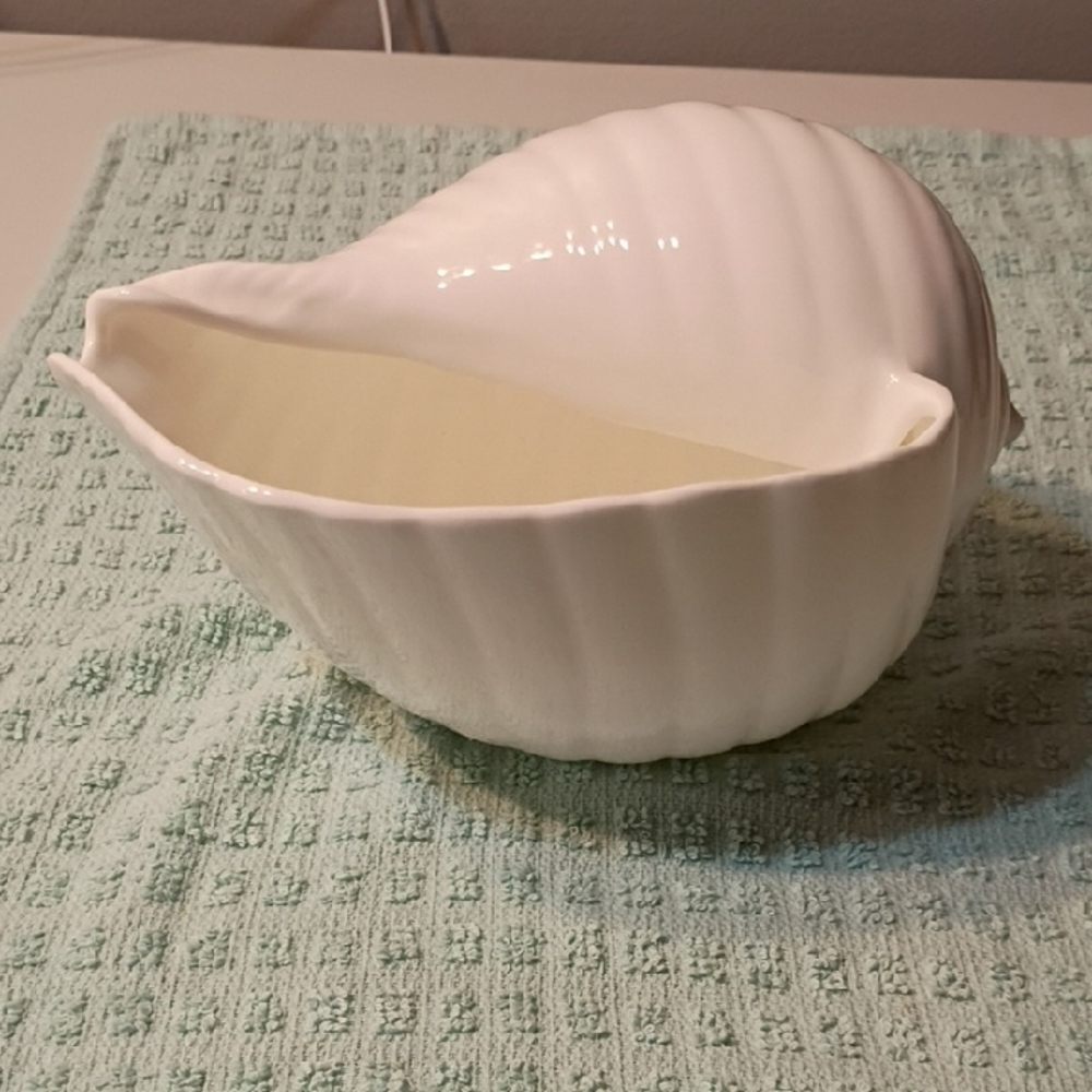 Wedgwood Nautilus Collection SeaShell Bone China England Seashore Beach Summer - Picture 4 of 7